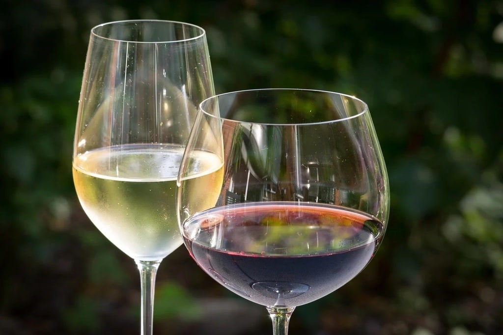Comment assortir un vin avec des plats à base de poisson ?